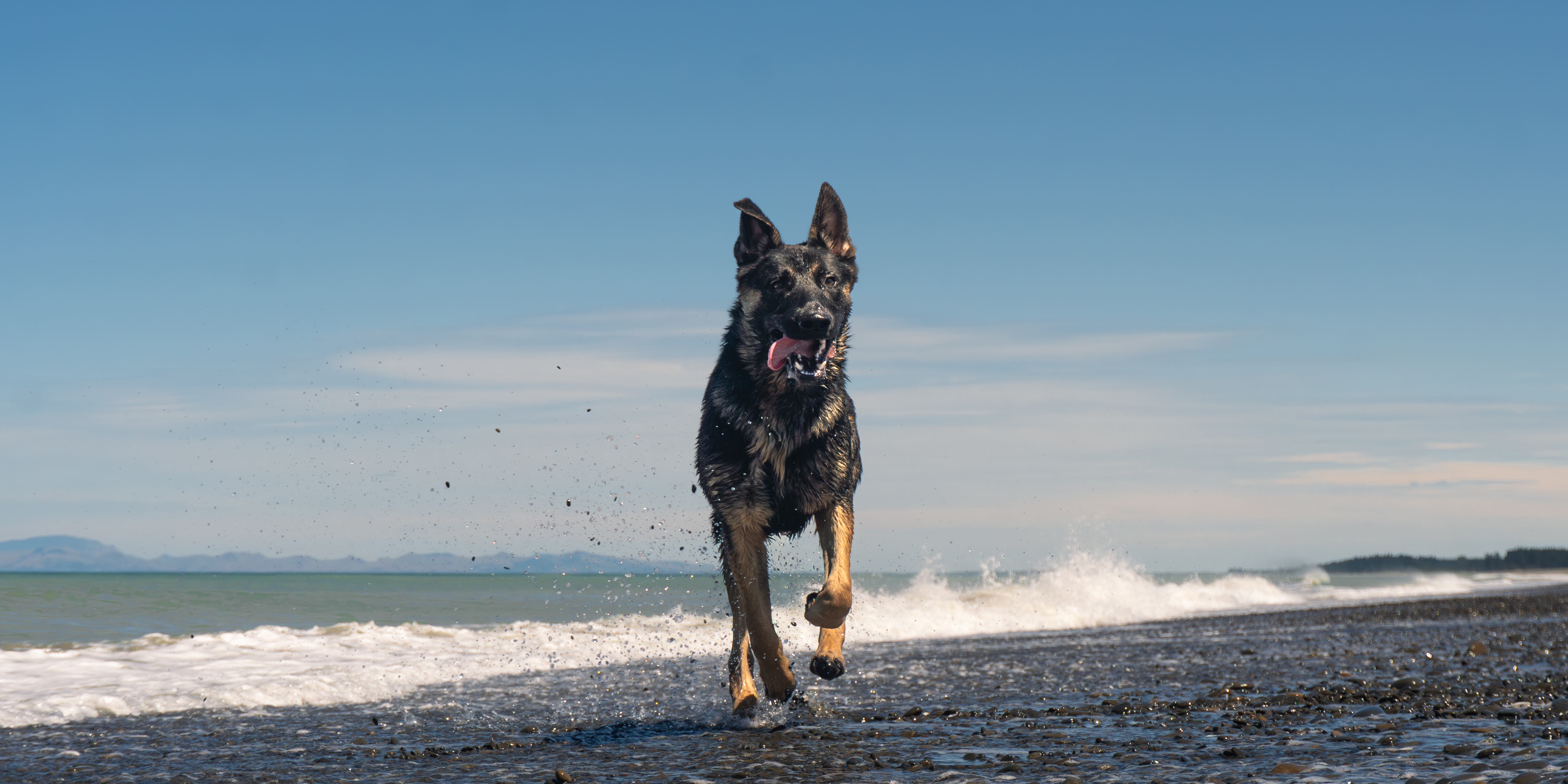 Rylee Ellen hero image